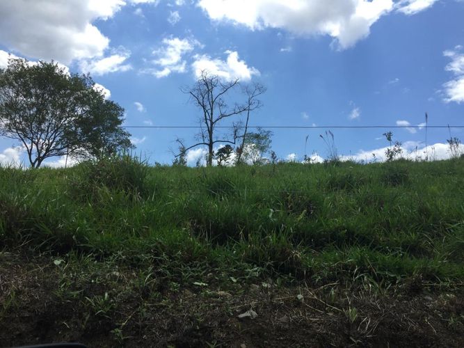 Finca en venta en Piendamó - Imagen 1