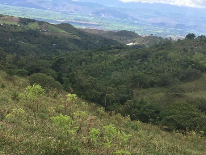 Finca en venta en Piendamó - Miniatura 2