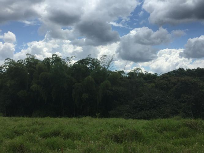 Finca en venta en Piendamó - Miniatura 3