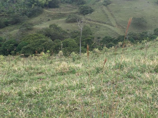 Finca en venta en Piendamó - Miniatura 4