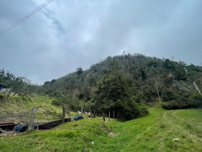 Finca en venta en Alban - Imagen 1