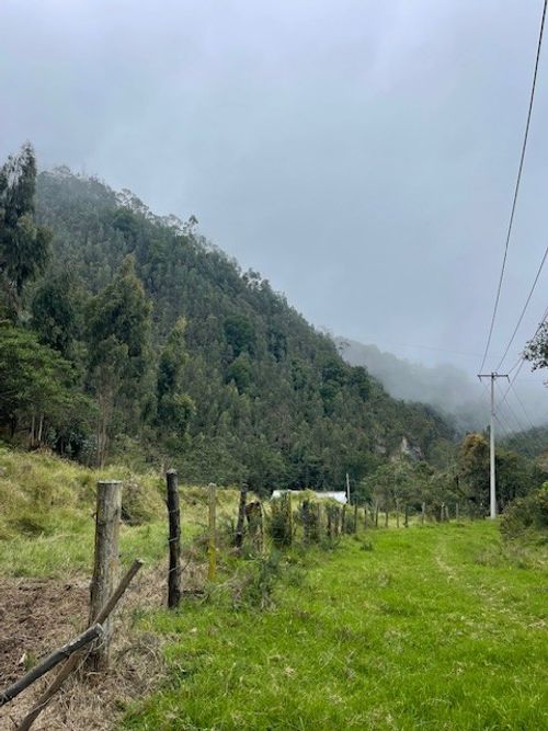 Finca en venta en Alban - Miniatura 3