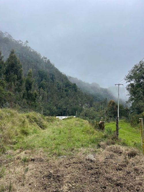 Finca en venta en Alban - Miniatura 4