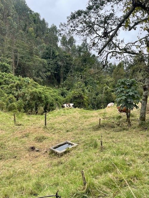 Finca en venta en Alban - Miniatura 5
