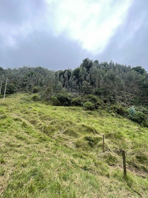 Finca en venta en Alban - Miniatura 6