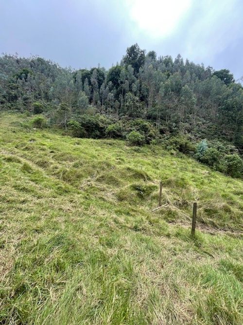 Finca en venta en Alban - Miniatura 7