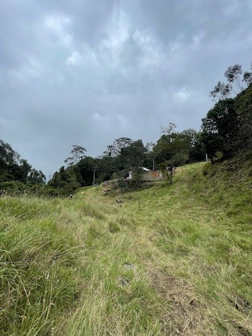 Finca en venta en Alban - Miniatura 9