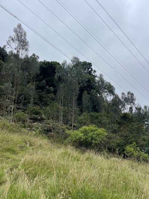 Finca en venta en Alban - Miniatura 10