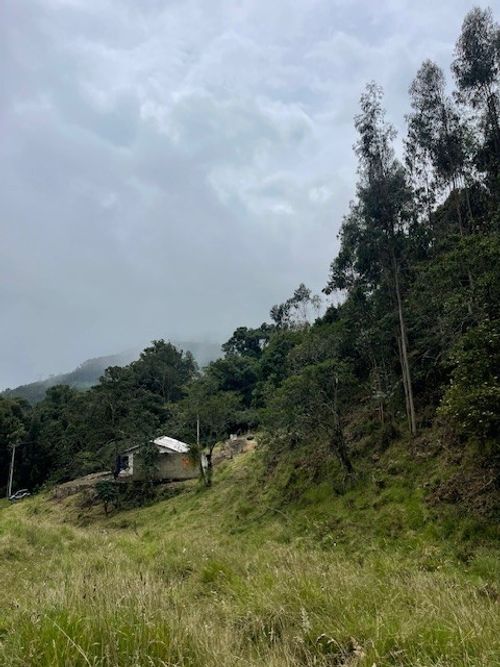 Finca en venta en Alban - Miniatura 12
