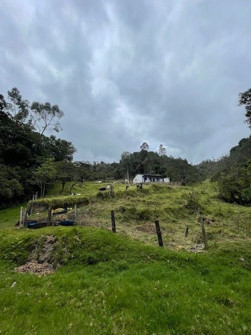 Finca en venta en Alban - Miniatura 14