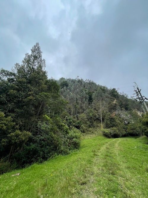 Finca en venta en Alban - Miniatura 15