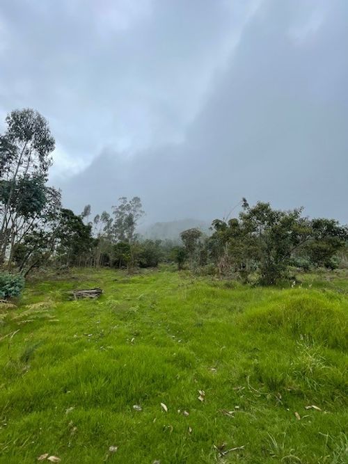 Finca en venta en Alban - Miniatura 18