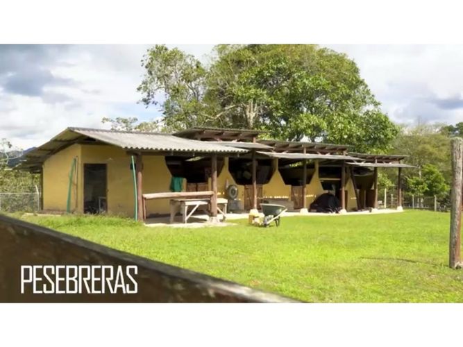 Finca en  Venta en Calima - El Darién, Calima - Miniatura 25
