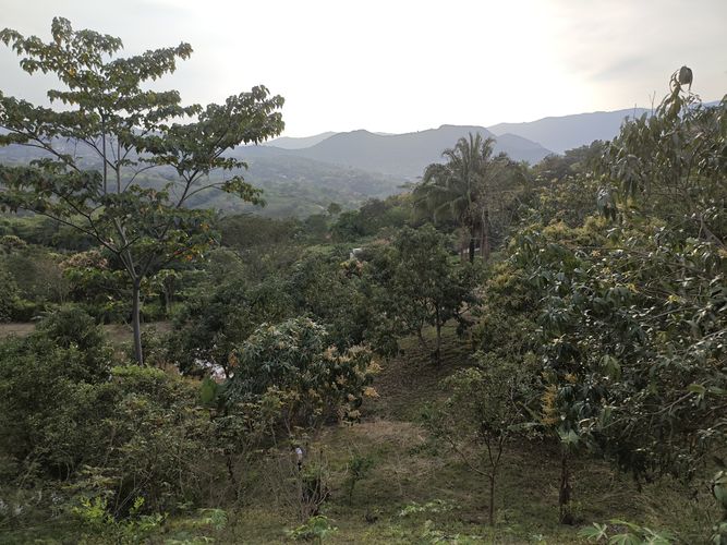 Finca en  Venta en Las mercedes, Anapoima - Miniatura 2