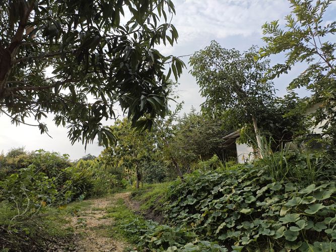 Finca en  Venta en Las mercedes, Anapoima - Miniatura 3