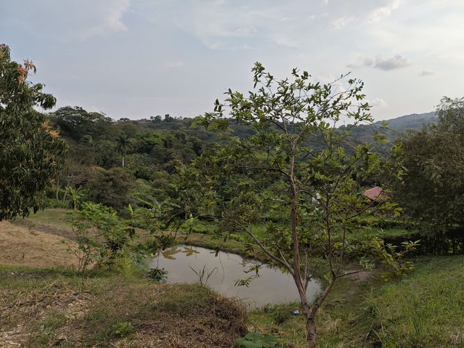 Finca en  Venta en Las mercedes, Anapoima - Miniatura 6