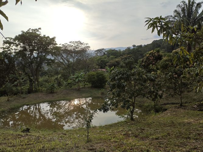 Finca en  Venta en Las mercedes, Anapoima - Miniatura 8