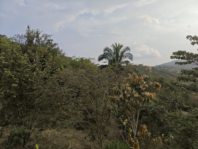 Finca en  Venta en Las mercedes, Anapoima - Miniatura 9