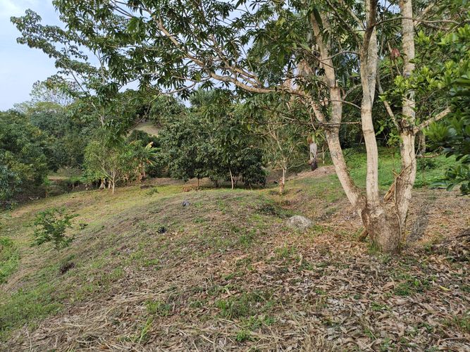 Finca en  Venta en Las mercedes, Anapoima - Miniatura 17