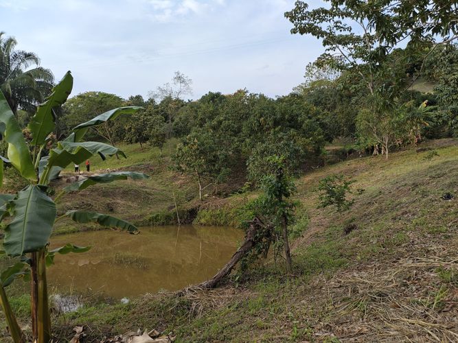 Finca en  Venta en Las mercedes, Anapoima - Miniatura 18