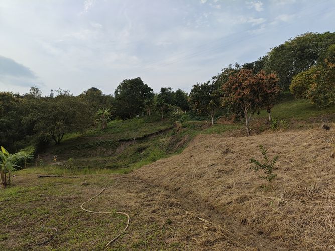 Finca en  Venta en Las mercedes, Anapoima - Miniatura 19