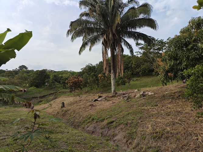 Finca en  Venta en Las mercedes, Anapoima - Miniatura 20