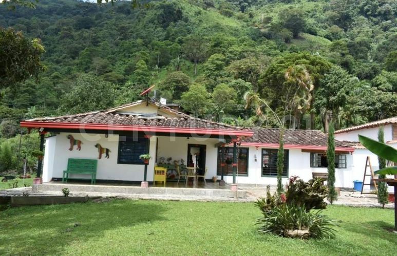 Finca en  Venta en Fredonia - Imagen 1