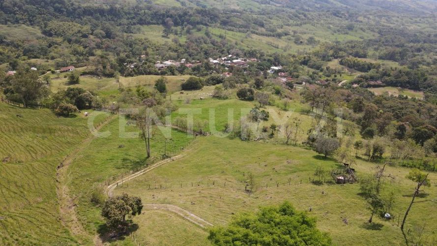 Finca en  Venta en Fredonia - Miniatura 4