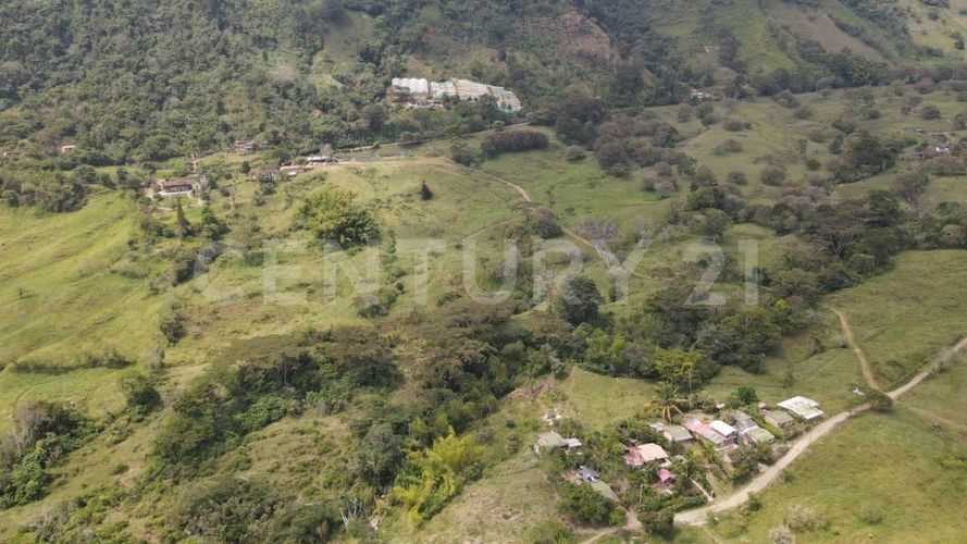 Finca en  Venta en Fredonia - Miniatura 5