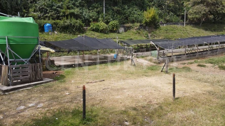 Finca en  Venta en Fredonia - Miniatura 6