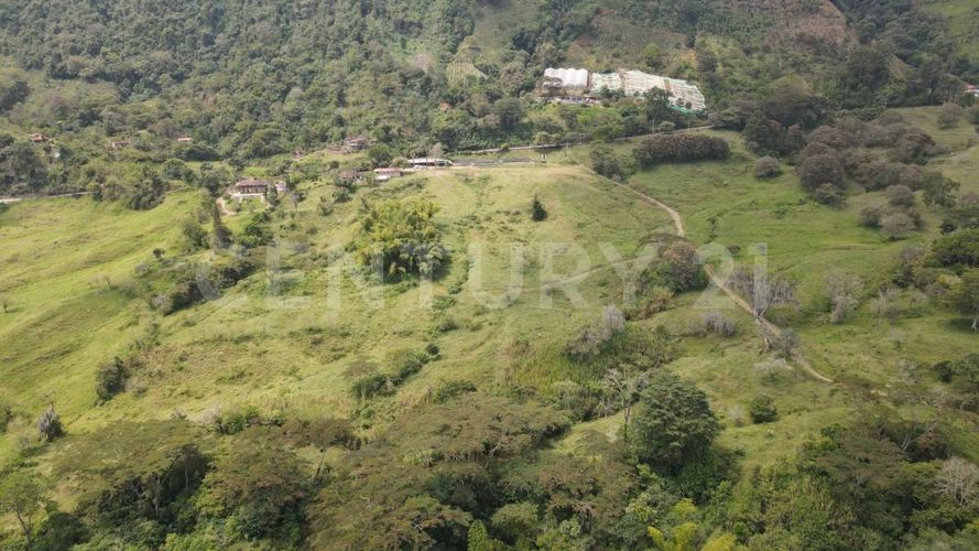Finca en  Venta en Fredonia - Miniatura 7