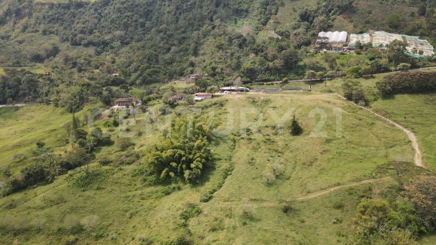 Finca en  Venta en Fredonia - Miniatura 8