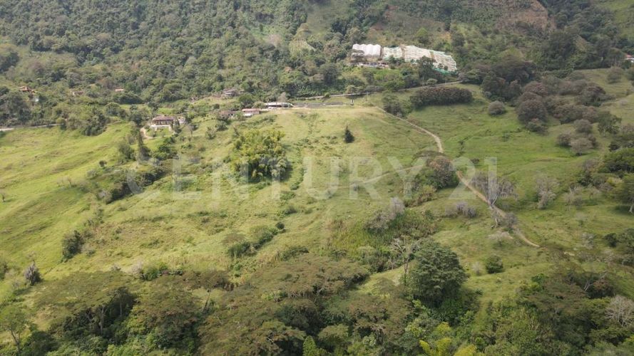 Finca en  Venta en Fredonia - Miniatura 9