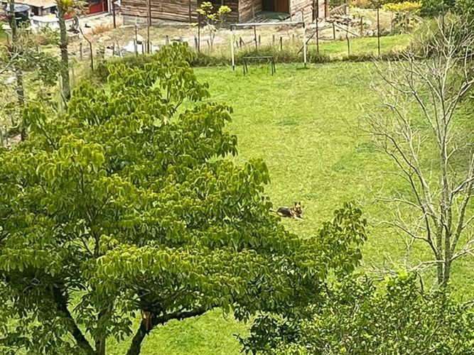 Finca en  Arriendo en Don matias - Miniatura 16