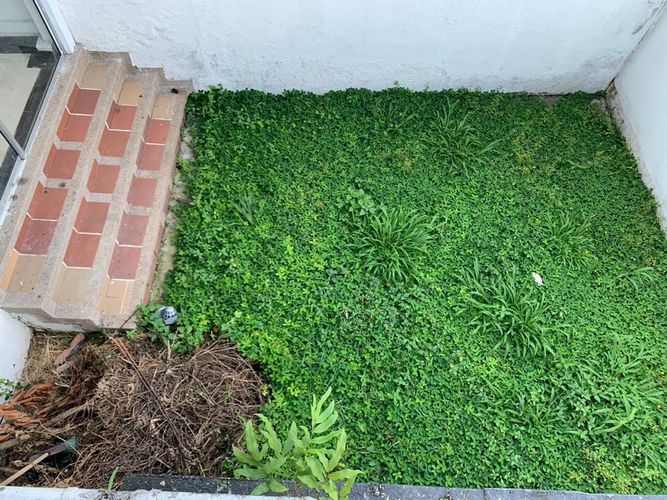 Local en  Arriendo en Pinares, Pereira - Miniatura 12