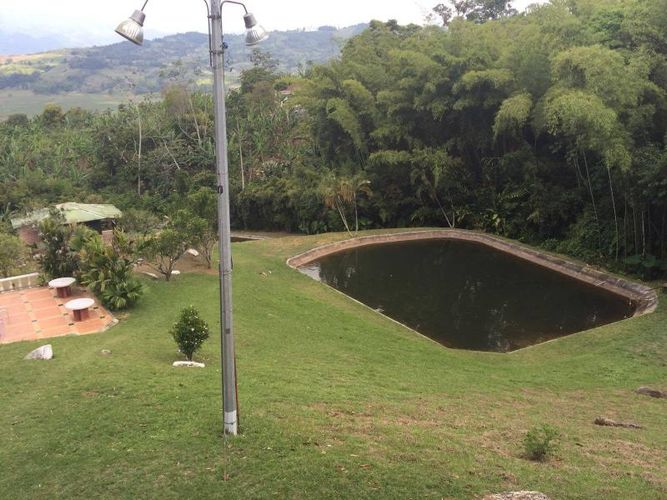 Finca en arriendo en Calima - Miniatura 24