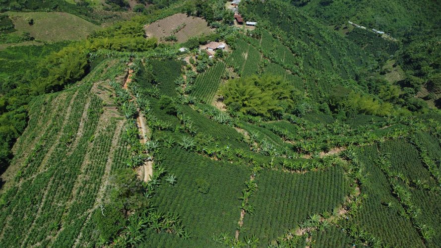 Finca en  Venta en El trebol, Chinchiná - Miniatura 8