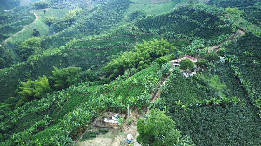 Finca en  Venta en El trebol, Chinchiná - Miniatura 9