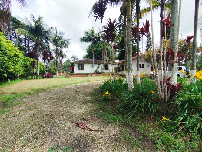 Finca en  Arriendo en San antonio, Rionegro - Miniatura 13