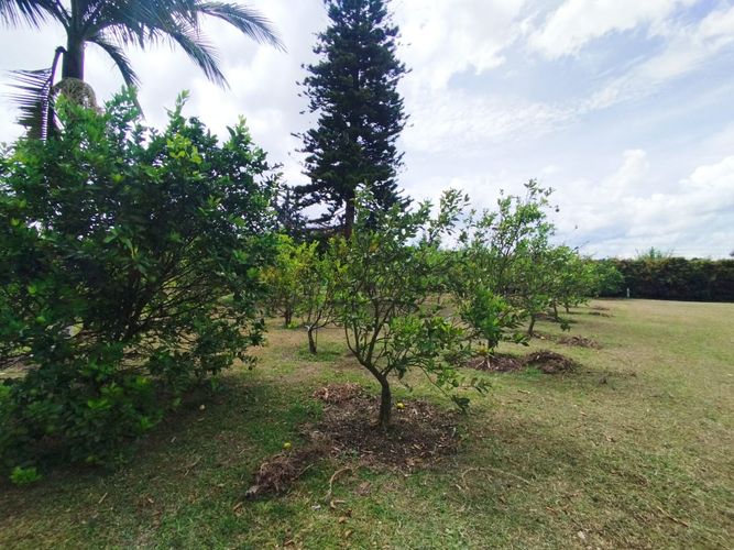 Finca en  Arriendo en San antonio, Rionegro - Miniatura 16