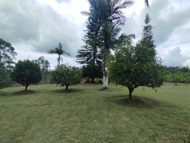 Finca en  Arriendo en San antonio, Rionegro - Miniatura 19