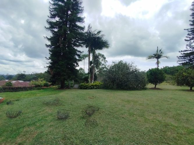 Finca en  Arriendo en San antonio, Rionegro - Miniatura 20