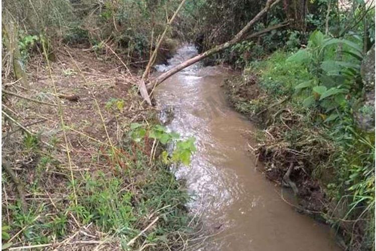 Finca en  Venta en Susagua baja, Cogua - Miniatura 2
