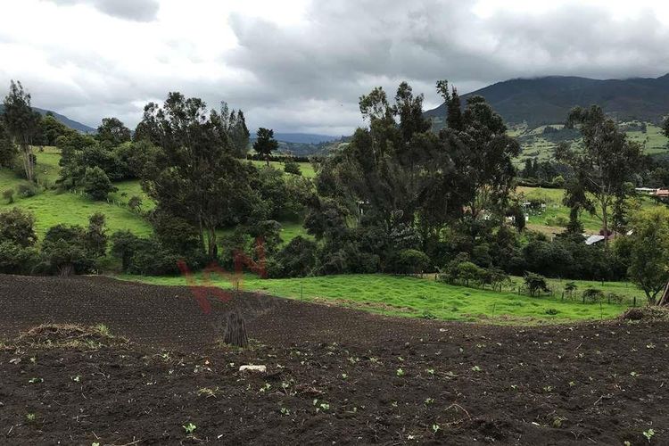 Finca en  Venta en Susagua baja, Cogua - Miniatura 5
