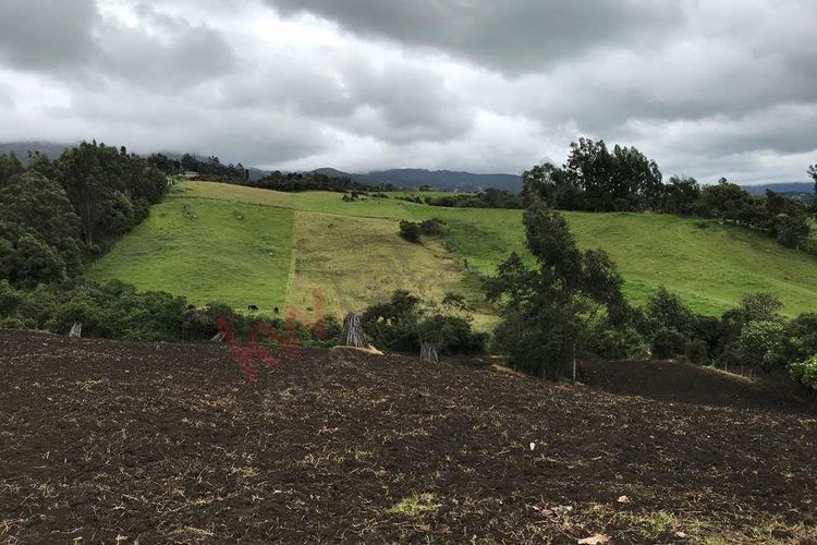 Finca en  Venta en Susagua baja, Cogua - Miniatura 6