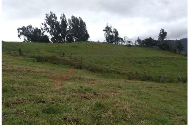 Finca en  Venta en Susagua baja, Cogua - Miniatura 7