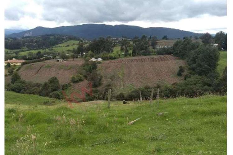 Finca en  Venta en Susagua baja, Cogua - Miniatura 8