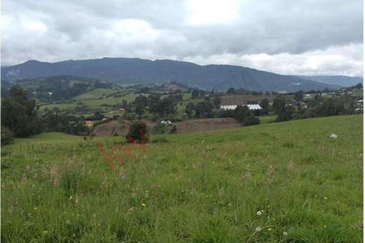 Finca en  Venta en Susagua baja, Cogua - Miniatura 9