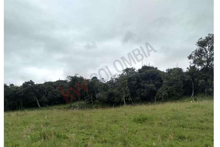 Finca en  Venta en Susagua baja, Cogua - Miniatura 10