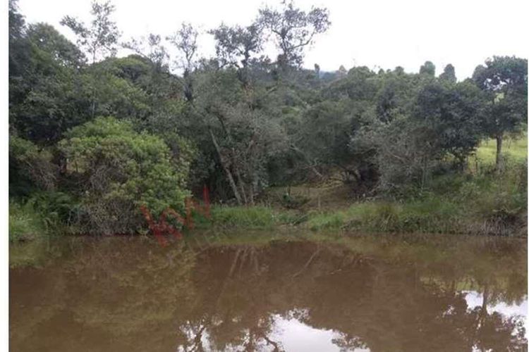 Finca en  Venta en Susagua baja, Cogua - Miniatura 12